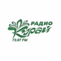 Радио Курай logo