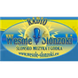 Radio Wesole Slonzoki logo