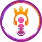 Rádio Imperial 102.9 FM logo