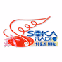 Soka Radio 102.1 logo