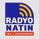 Radyo Natin Bongabong - DWMH logo