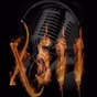 Radio X511 logo
