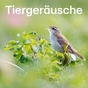 104.6 RTL - Tiergeräusche logo