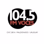 FM Voces 104.5 logo
