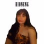 DIONENG RADION STATION logo