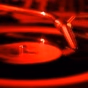 radiofischer logo