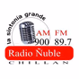 Radio Ñuble logo