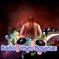 Radio Veseli Bosanac logo