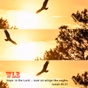 WLE - Soar Like An Eagle logo