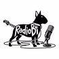 Radio Bull Terrier logo