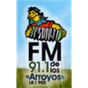 FM De Los Arroyos 91.1 logo