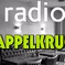 Radio Pappelkrug logo