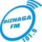 Radio BiznagaFM logo