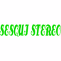 Sesqui Stereo Radio logo