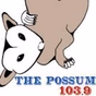 103.9 The Possum - WQKS-HD4 logo