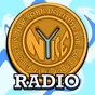 NY.I.C.E Radio logo