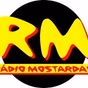 Rádio Mostardas logo