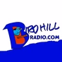 Birdhill Radio logo