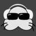 Norpparadio logo
