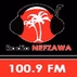 Radio Nefzawa logo