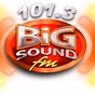 101.3 Big Sound FM - DWDC logo