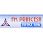 Rádio FM Princesa 99.3 logo