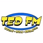 Ted FM - KRVX-HD2 logo