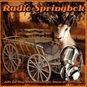 Radio Springbok Germany logo