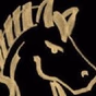 NightRideUSA logo