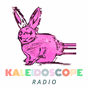 Kaleidoscope logo
