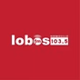 Lobos FM 103.5 - XHHMO logo