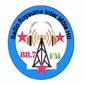 Radio Royaume Inter Mole HTI 88.7 Fm logo