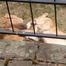 Chocolate FM logo