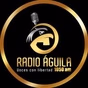 Radio Aguila 1050 AM logo
