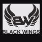 Radio Black Wings logo