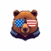 96.1 The Bear - WZGM logo