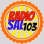 Radiosal103 logo