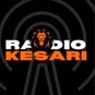 Radio Kesari 90.0 FM logo