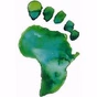 Radio Africa Online (RAO) logo
