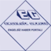 Engelsiz Gazete logo