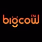 大牛FM logo