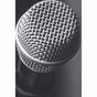 Indlulamithi fm logo