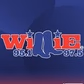 Willie 95.1 & 97.5 - W248DJ logo