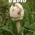 Dilligaf Radio logo