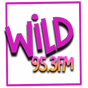 WILD 95.3 FM logo