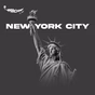 Radio Mirchi USA New York - W224CW logo