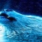 Partywolf logo