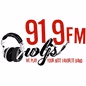 WLJS 91.9FM - WLJS-FM logo