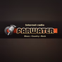 Radio Farwater Old Blues logo