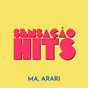 Playradios - Sensação Hits logo